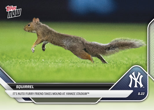 Squirrel - 2025 MLB Topps NOW® - Card 596