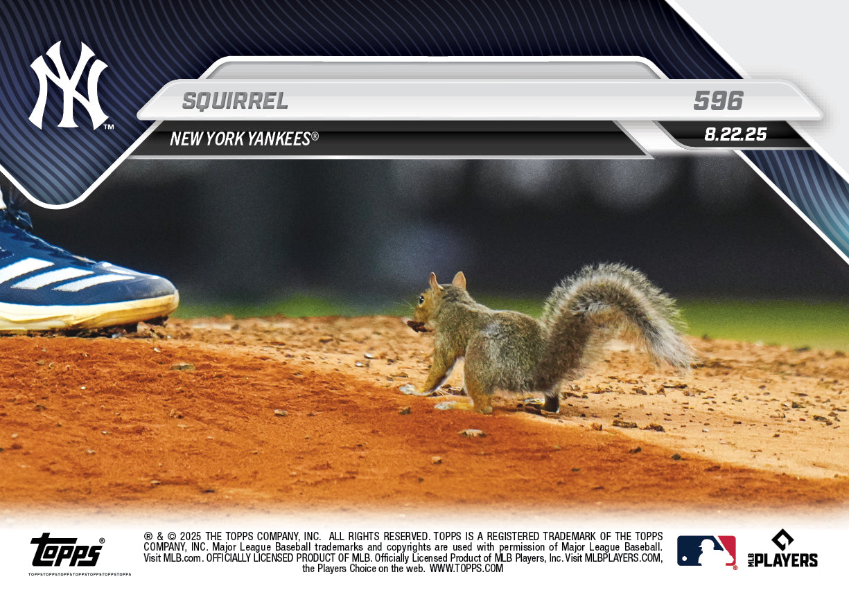 Squirrel - 2025 MLB Topps NOW® - Card 596