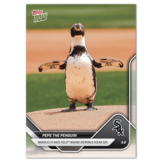 Pepe the Penguin - 2025 MLB Topps NOW® - Card 276